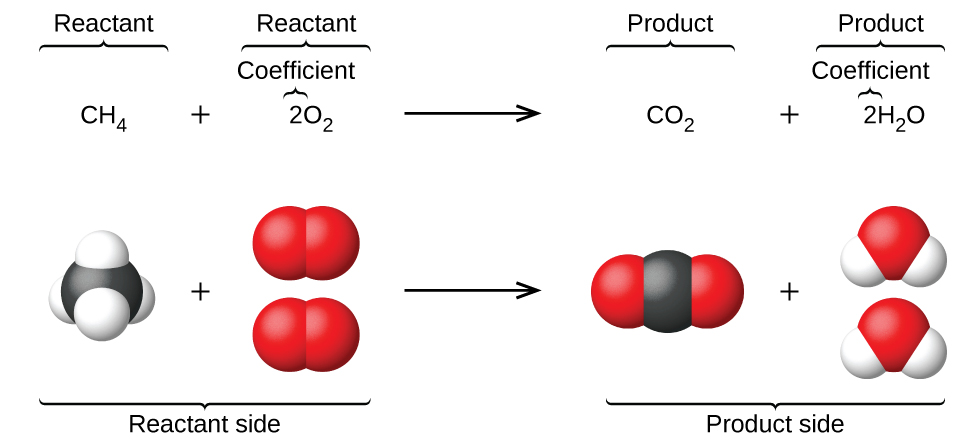 Molecular models accompany a chemical reaction equation.